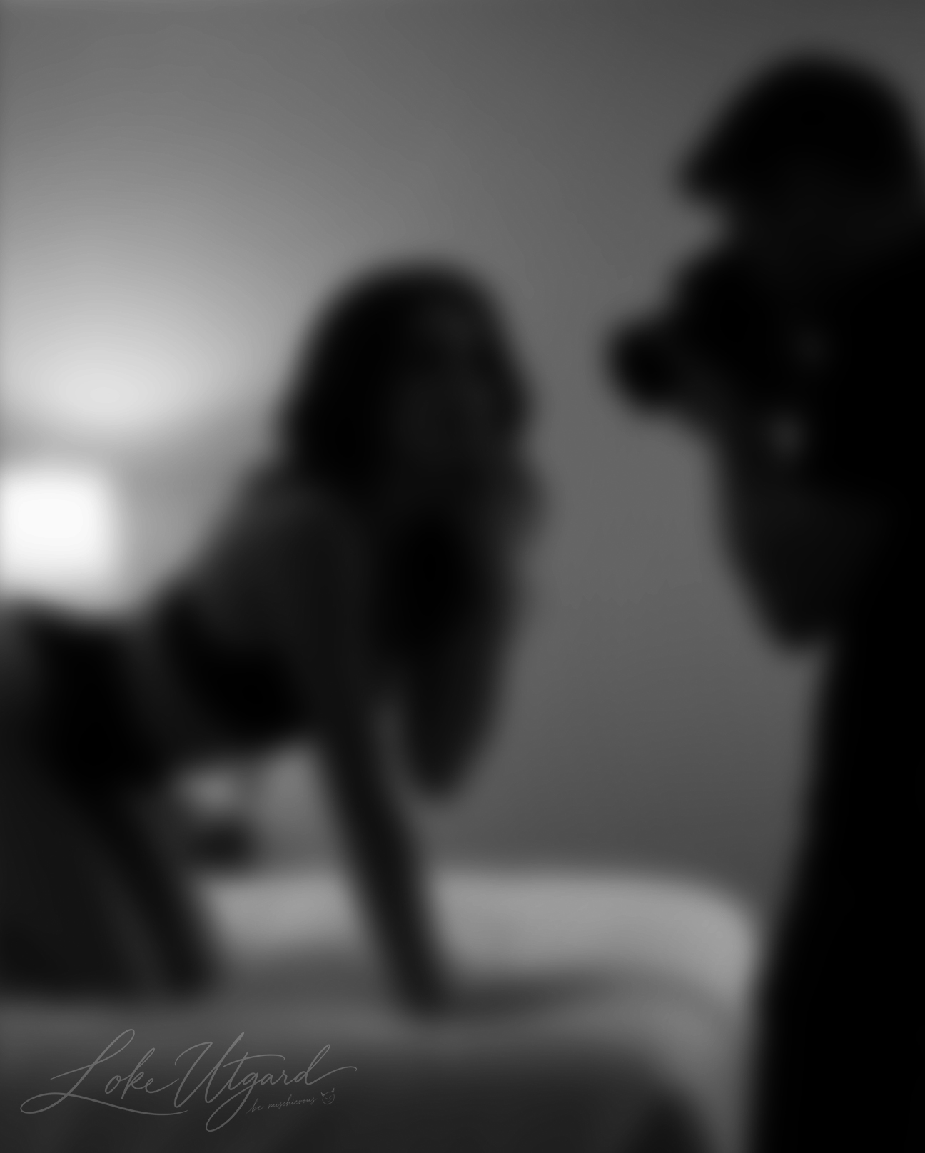 Blurred monochrome photograph of a photographer facing a model on a bed.
