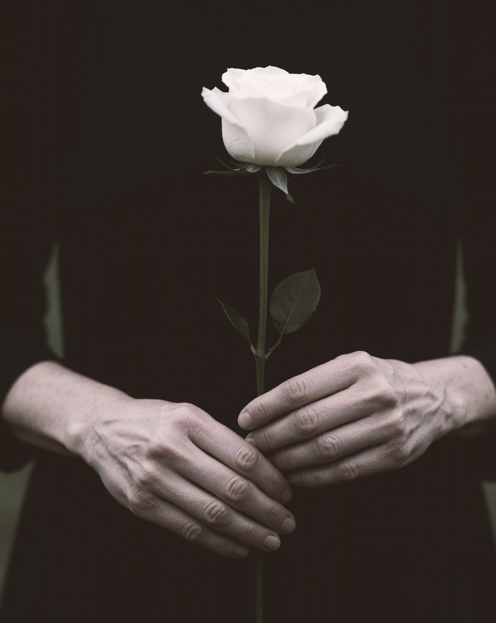 Portrait of Mette holding a white rose against dark clothing