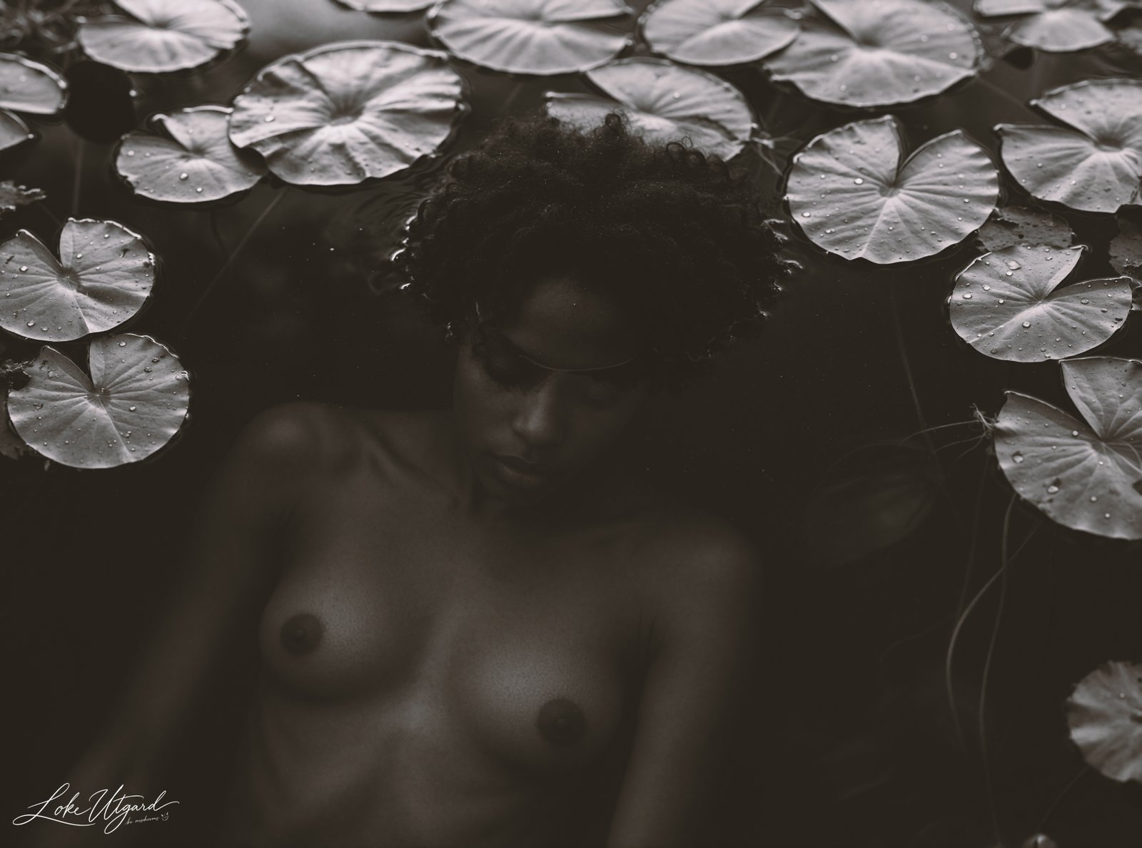 Tania floating nude among lily pads in a dark monochrome portrait