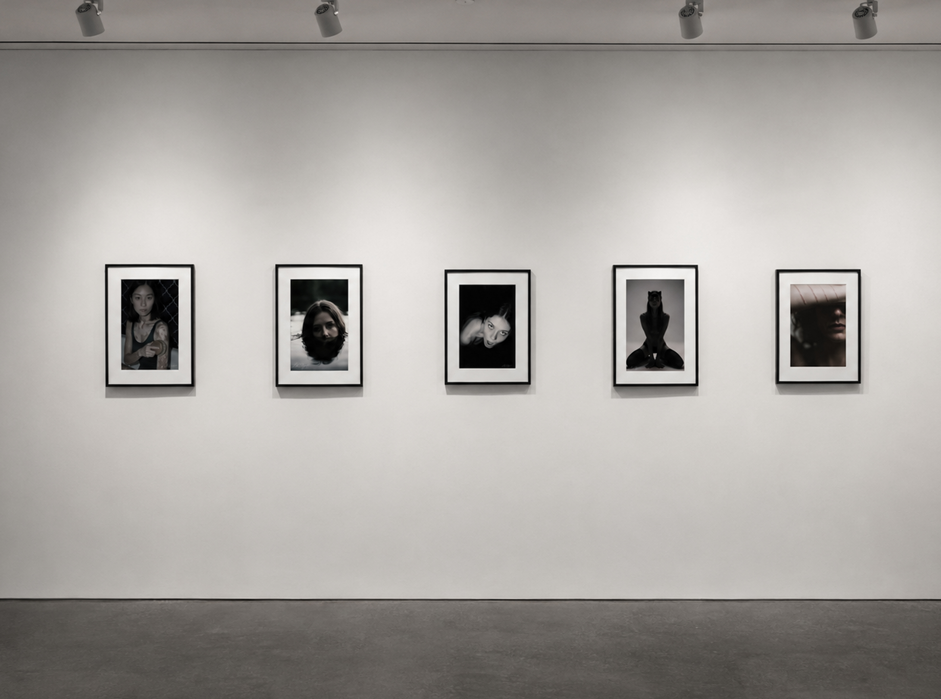 Five framed photographic works displayed on a gallery wall